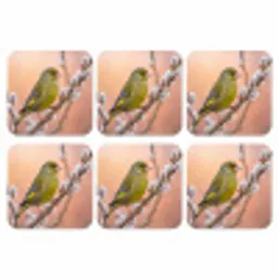 Groenling - Katjes - Lente - Natuur - Zacht onderzetter kurk middel -3d