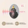 Chimpansee - Badeend - Grijs Akoestische PET Vilt - Rond klein -USP_NL