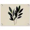 Ovaalvormige bladeren - Diep groen - Symmetrisch tuinposter los doek klein -3d