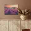 Lavendelveld - Quote - Zonsondergang PET vilt klein -sfeer4