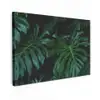 Monstera - Bladeren - Tropisch - Jungle Tuinposter op houten frame 2 cm dik klein -3d