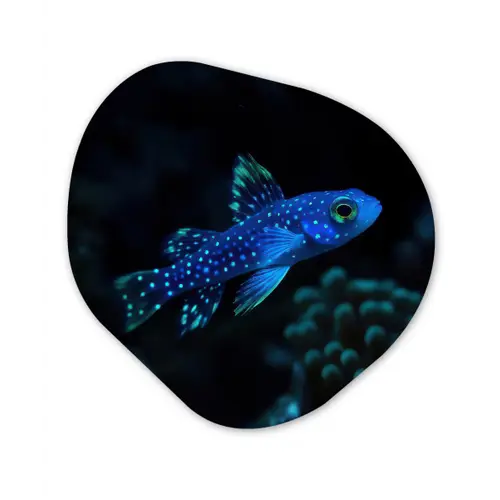 Vis - Stippen - Koraal - Blauw Wandcirkel Organisch Aluminium middel -3d
