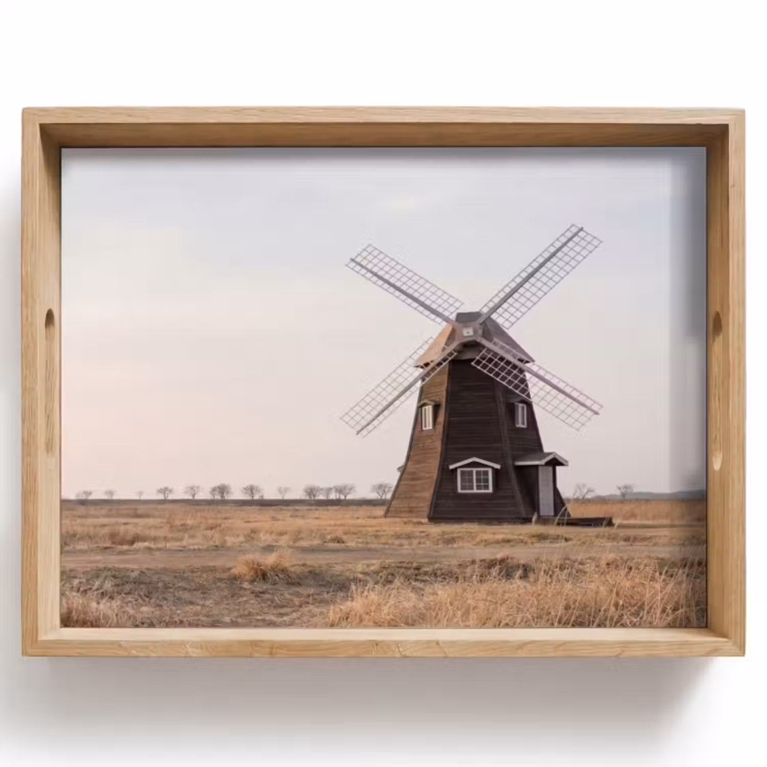 Dienblad - Windmolens - Landschap - Veld