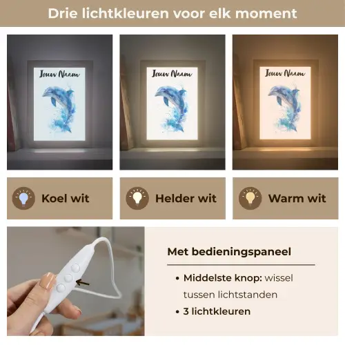 Dolfijn - Water - Blauw Light Box met kabel (Kinderlampje) klein -USP_lichtkleurNL