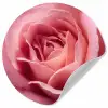 Roze - Roos - Romantisch Wandcirkel behangsticker klein -3d