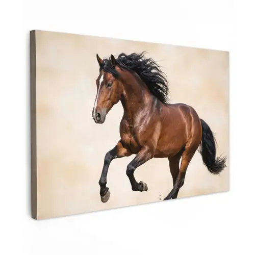 Paard - Galop - Energie canvas 2cm klein -z3d