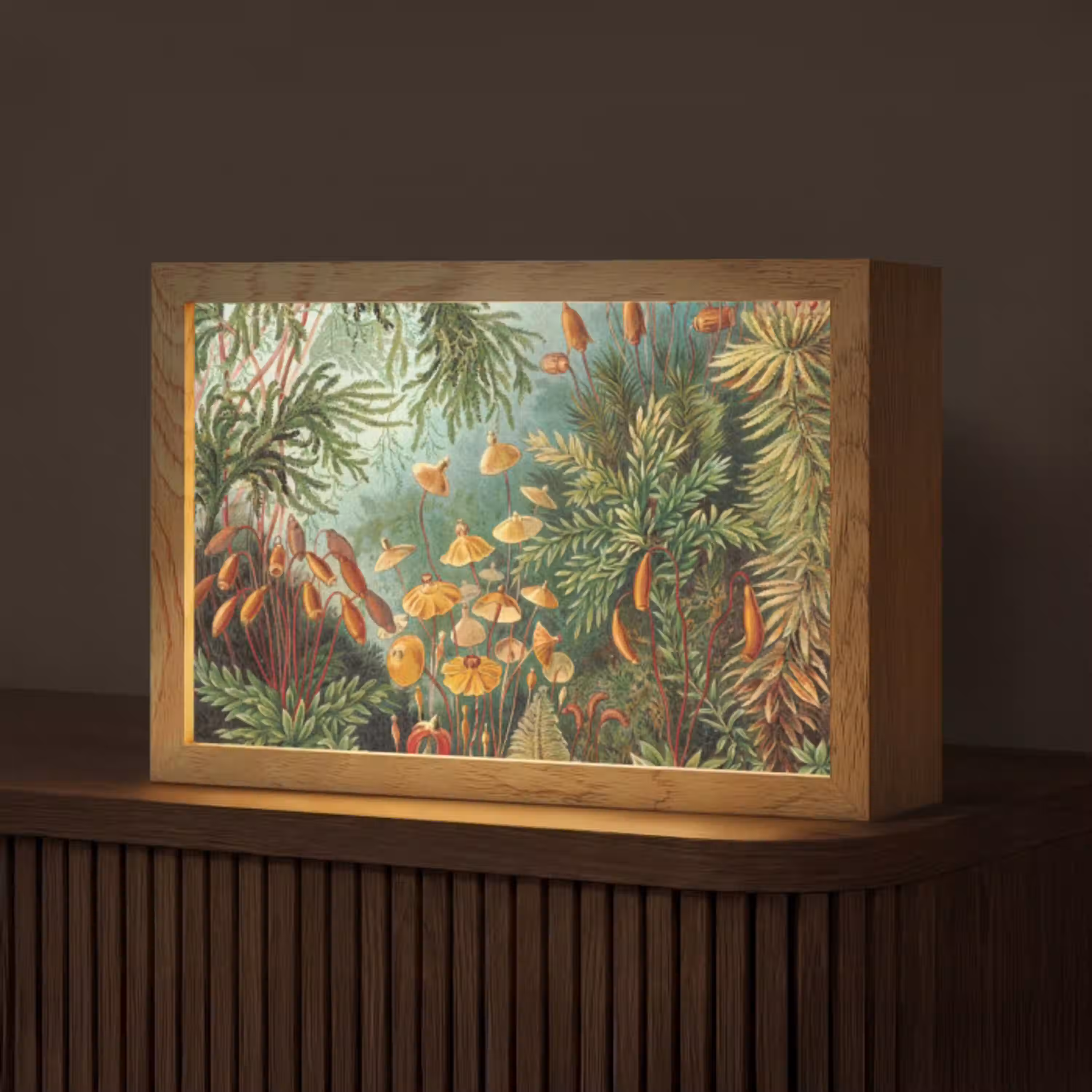 Oude meesters - Kunst - Muscinae - Haeckel Light Box met kabel (Tafellamp) klein -z3d_website