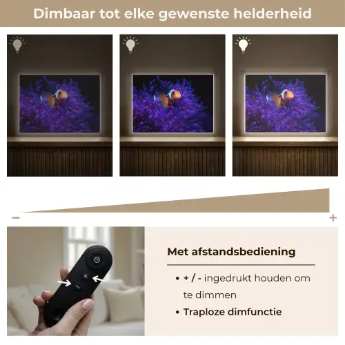 Koraal - Vis - Oranje - Zee Light Box met batterij (Wandlamp) middel -USP_dimbaarNL