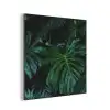 Monstera -  Inductie beschermer - Bladeren - Tropical - Afdekplaat voor kookplaat aluminium wit klein -3d