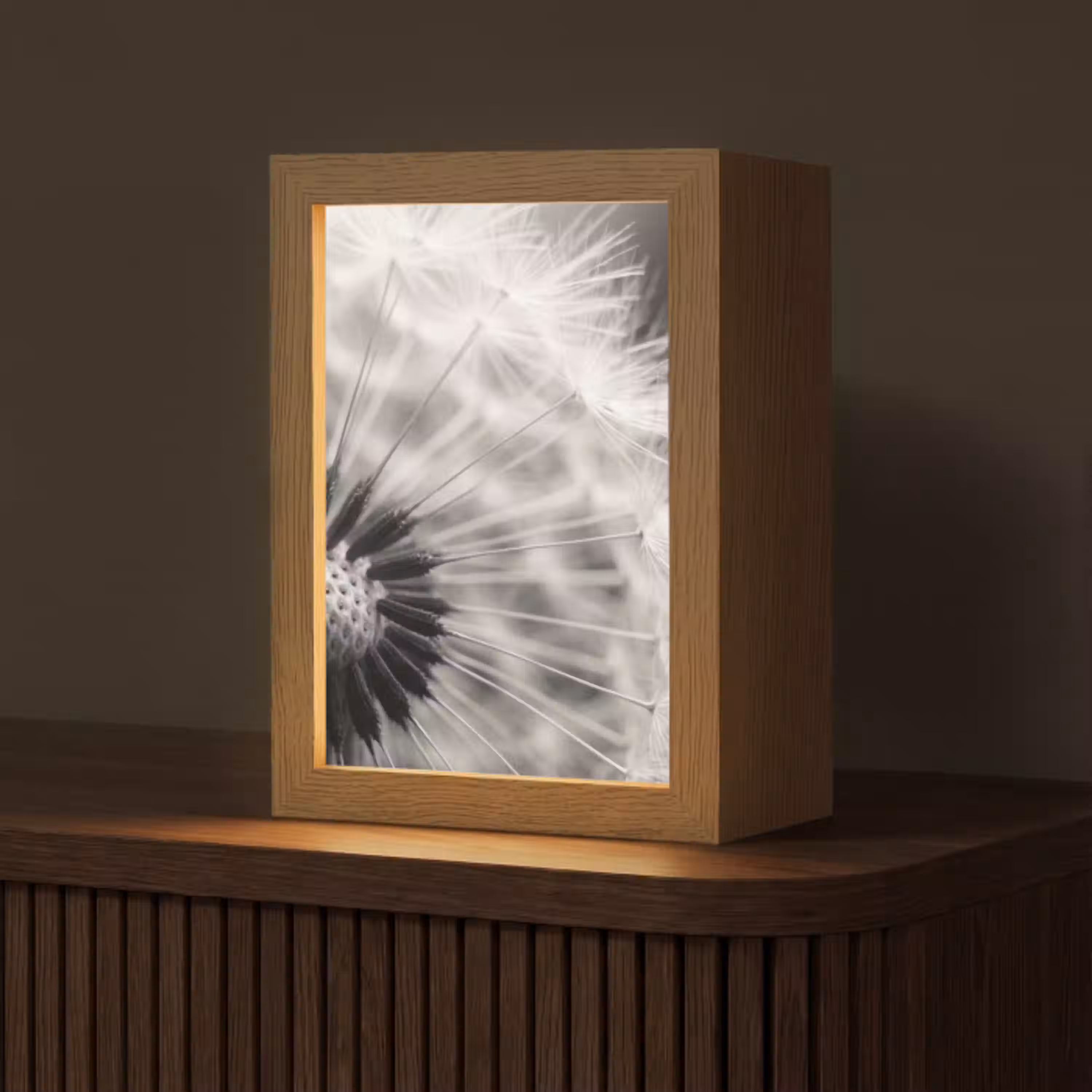 Paardenbloem - Zwart - Wit Light Box met kabel (Tafellamp) klein -z3d_website