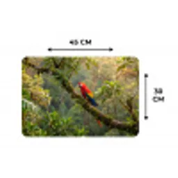 Ara - Jungle - Rood Placemat vinyl groot -specs