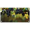 Druiven - Wijn - Natuur - Groen tuinposter los doek klein -3d