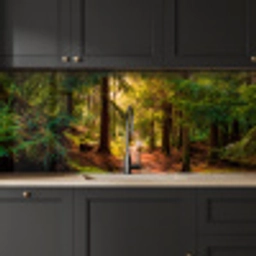 Bos - Pad - Bomen - Groen - Zon - Natuur keuken achterwand 2 middel -sfeer1
