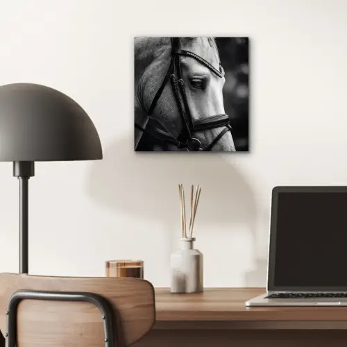 Paard - Schimmel - Portret aluminium wit klein -sfeer5