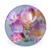 Bloemen - Paars - Overloop - Meeldraden Wandcirkel aluminium klein -3d