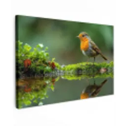 Roodborstje bij het Water Tuinposter op houten frame 2 cm dik klein -3d