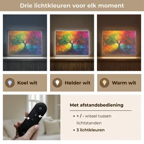 Boom - Kleurrijk - Modern - Abstract Light Box met batterij (Wandlamp) middel -USP_lichtkleurNL