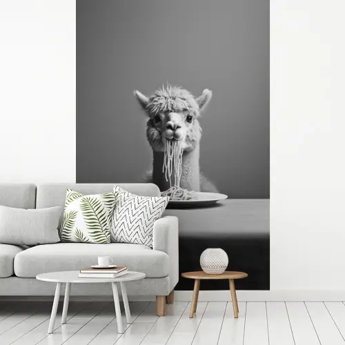 Alpaca - Pasta - Zwart - Wit - Grappig - Dieren fotobehang vinyl groot -woonkamer