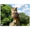 Uil - Boomstronk - Bos - Lucht tuinposter los doek klein -3d