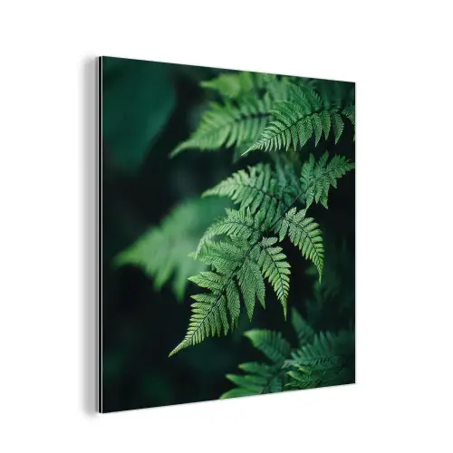 Varenblad - Groen - Structuur - Wazig aluminium wit klein -3d
