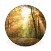 Bos - Herfst - Zon - Landschap - Natuur Wandcirkel aluminium klein -3d