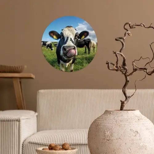 Koe - Tong - Weide Wandcirkel behangsticker klein -sfeer1