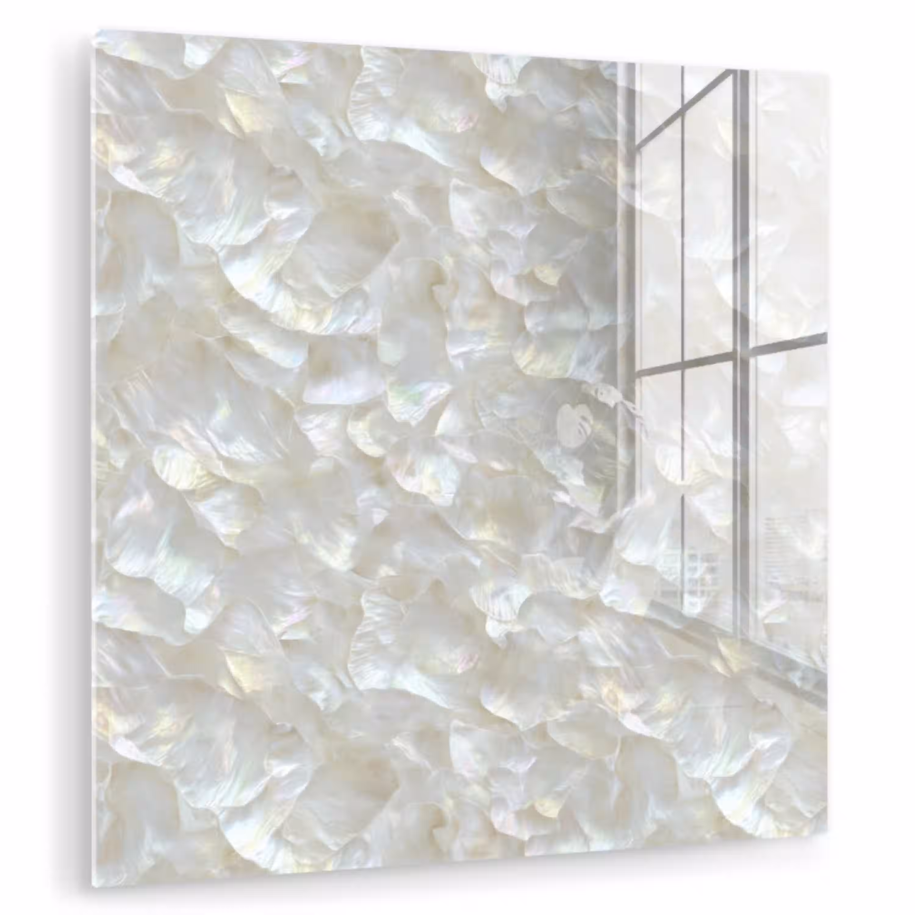 Parelmoerglans - Wit - Schelp plexiglas 5mm klein 11 -zzzproduct_nieuw