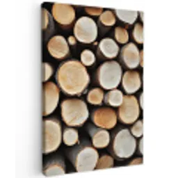 Hout - Boomstammen - Textuur Tuinposter op houten frame 2 cm dik klein -3d