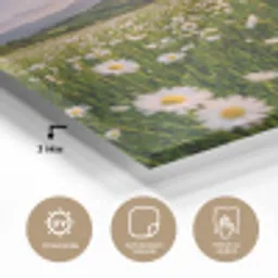 Madelief - Veld - Heuvels - Groen plexiglas 5mm klein -wsfeer2_DE