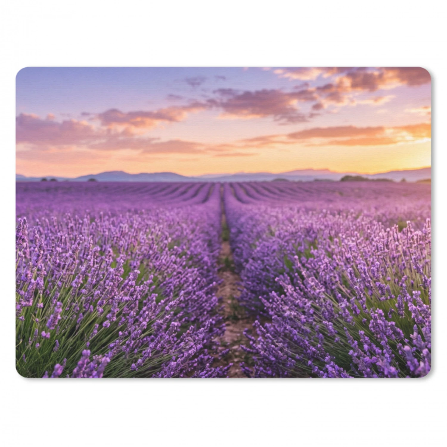 Lavendel - Veld - Natuur - Paars muismat rubber klein -3d