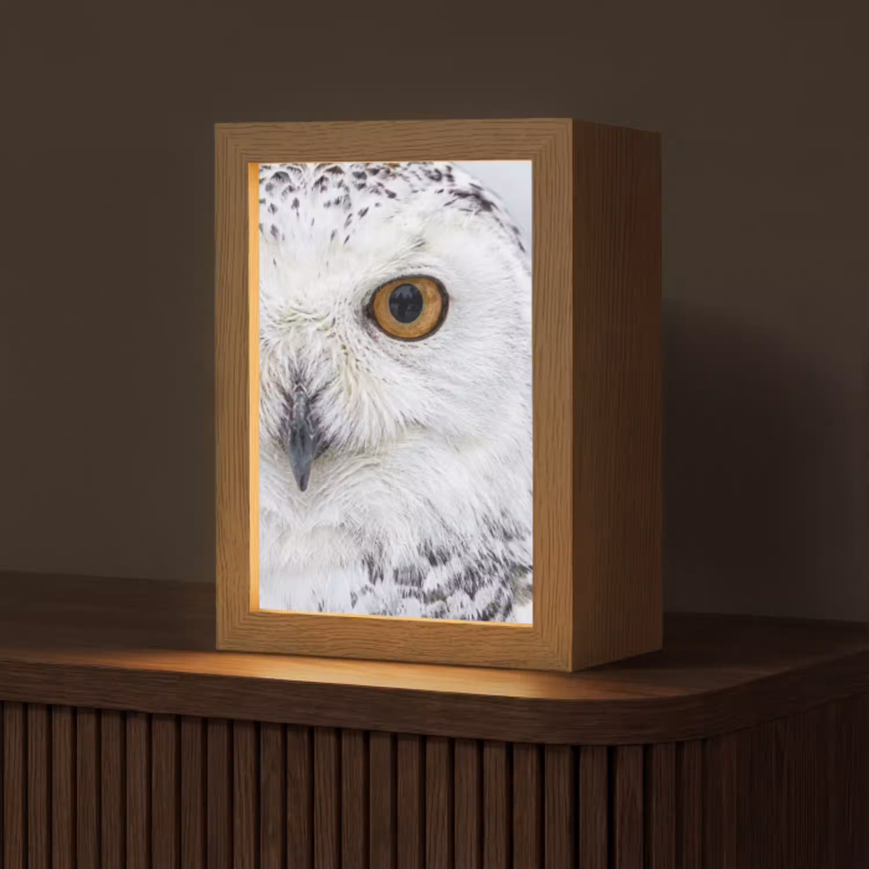 Sneeuwuil - Oog - Wildlife - Wit Light Box met kabel (Tafellamp) klein -z3d_website