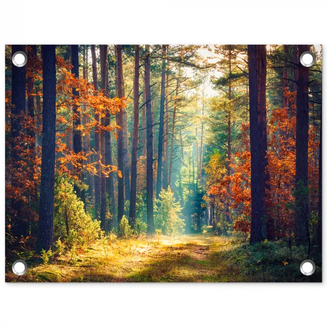Herfstbos in de Ochtendmist tuinposter los doek klein -3d