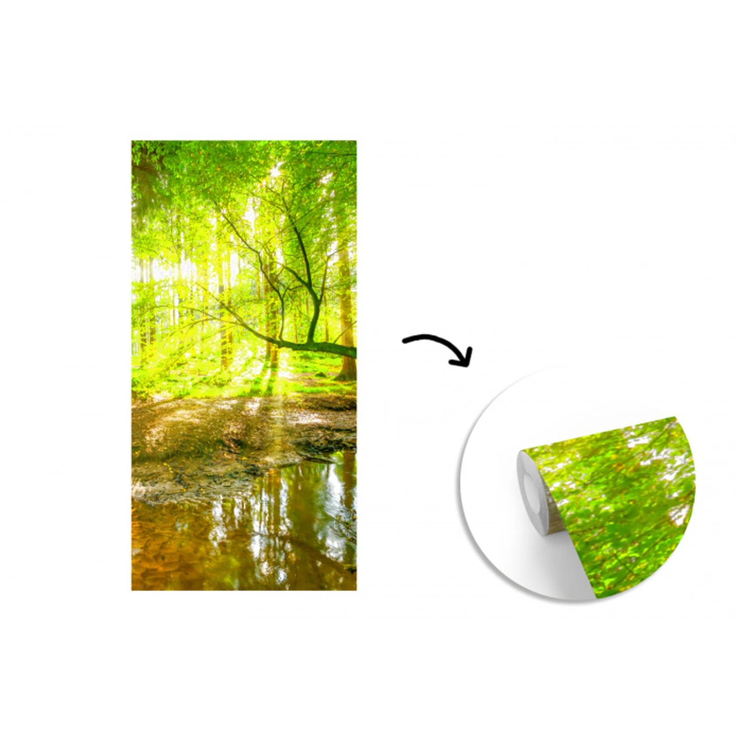Bos - Landschap - Water - Bomen - Zon fotobehang vinyl groot -3d