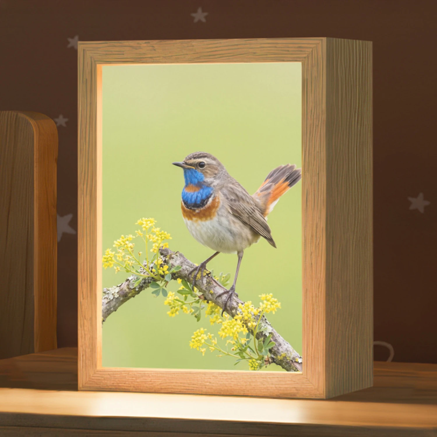 Vogel - Tak - Natuur - Kleurrijk Light Box met kabel (Kinderlampje) klein -zzz_3d_website