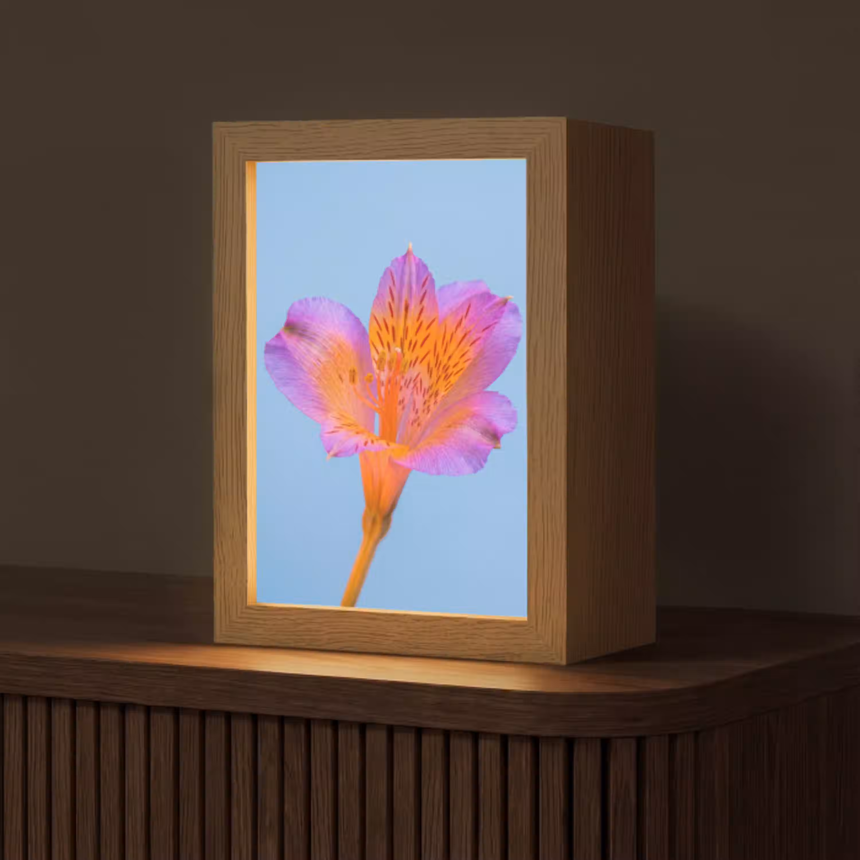 Bloem - Detail - Kleurrijk Light Box met kabel (Tafellamp) klein -z3d_website