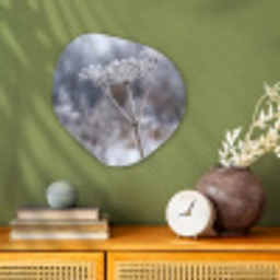 Schermbloem - Rijp - Kristallen - Winter - Delicaat Wandcirkel Organisch Forex 3mm klein -sfeer2