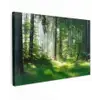 Zonnestralen in een groen bos Tuinposter op houten frame 2 cm dik klein -3d