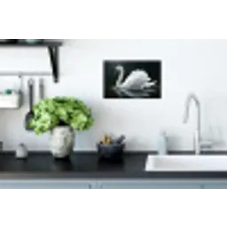 Zwaan - Water - Natuur - Realistisch - Wit Muursticker klein -keuken