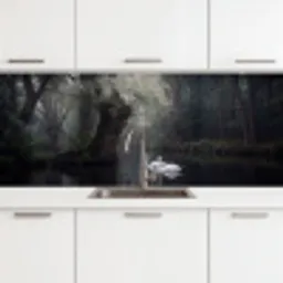 Zwanen - Rivier - Bos keuken achterwand 2 middel -3d