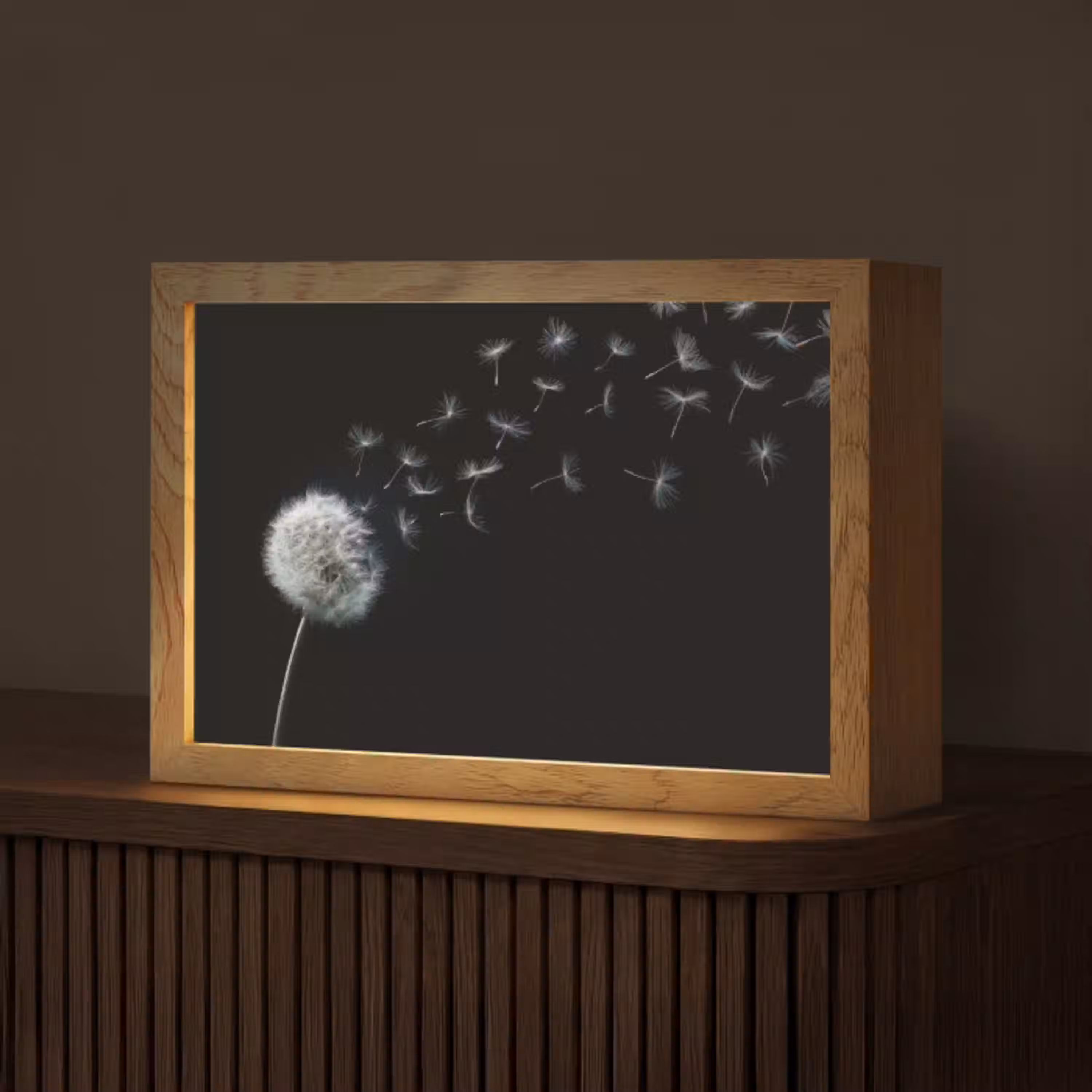 Paardenbloem - Zwart - Natuur Light Box met kabel (Tafellamp) klein -z3d_website