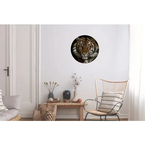 Tijger - Wilde dieren - Portret Wandcirkel aluminium klein -woonkamer