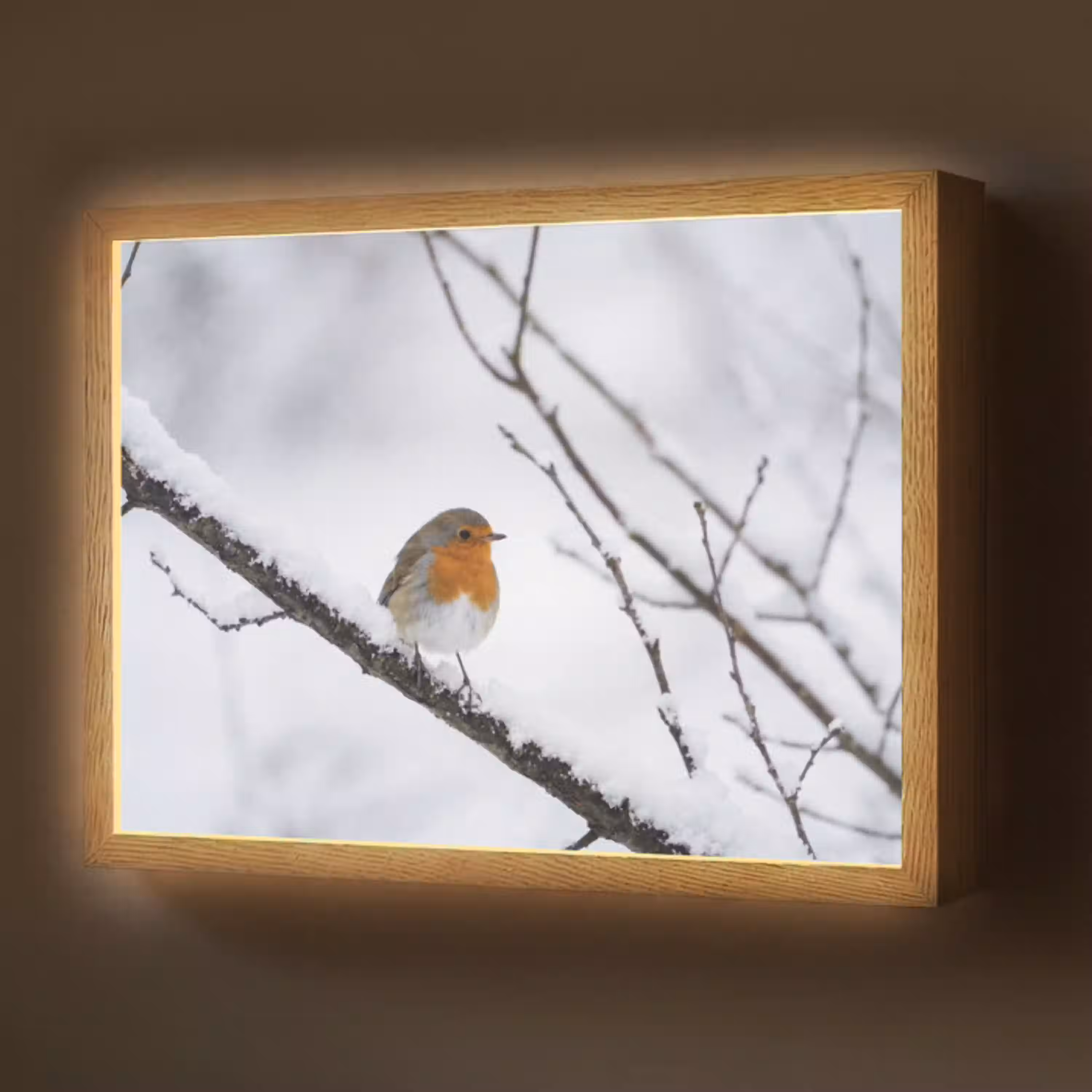Roodborstje - Tak - Sneeuw - Winter - Levendig Light Box met batterij (Wandlamp) middel -z3d_website