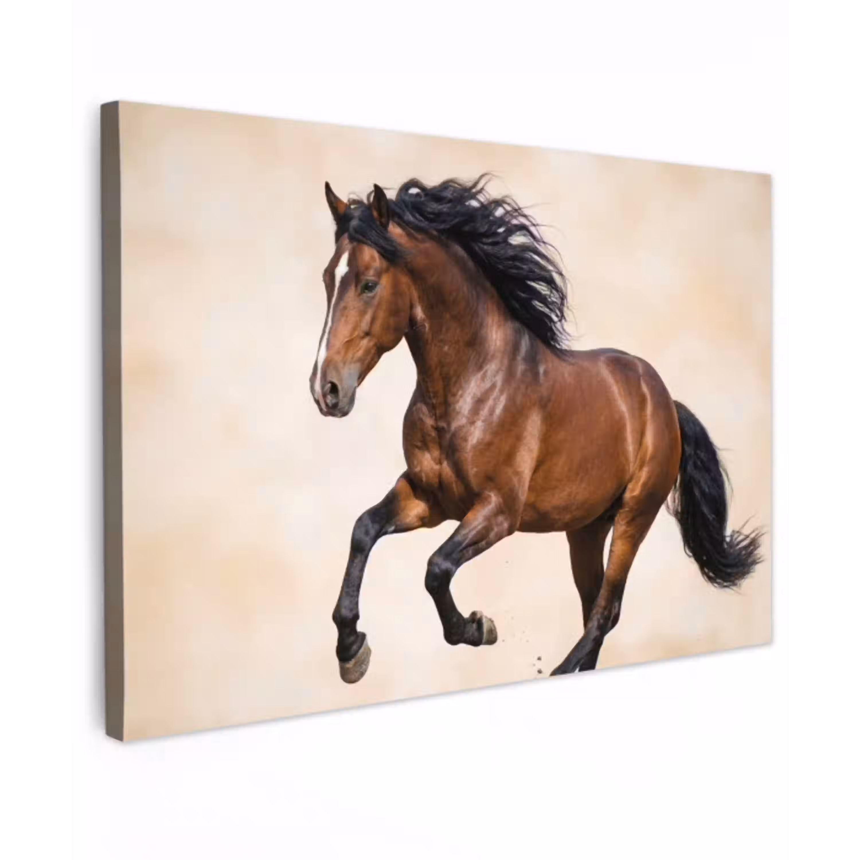 Paard - Galop - Energie Tuinposter op houten frame 2 cm dik klein -3d