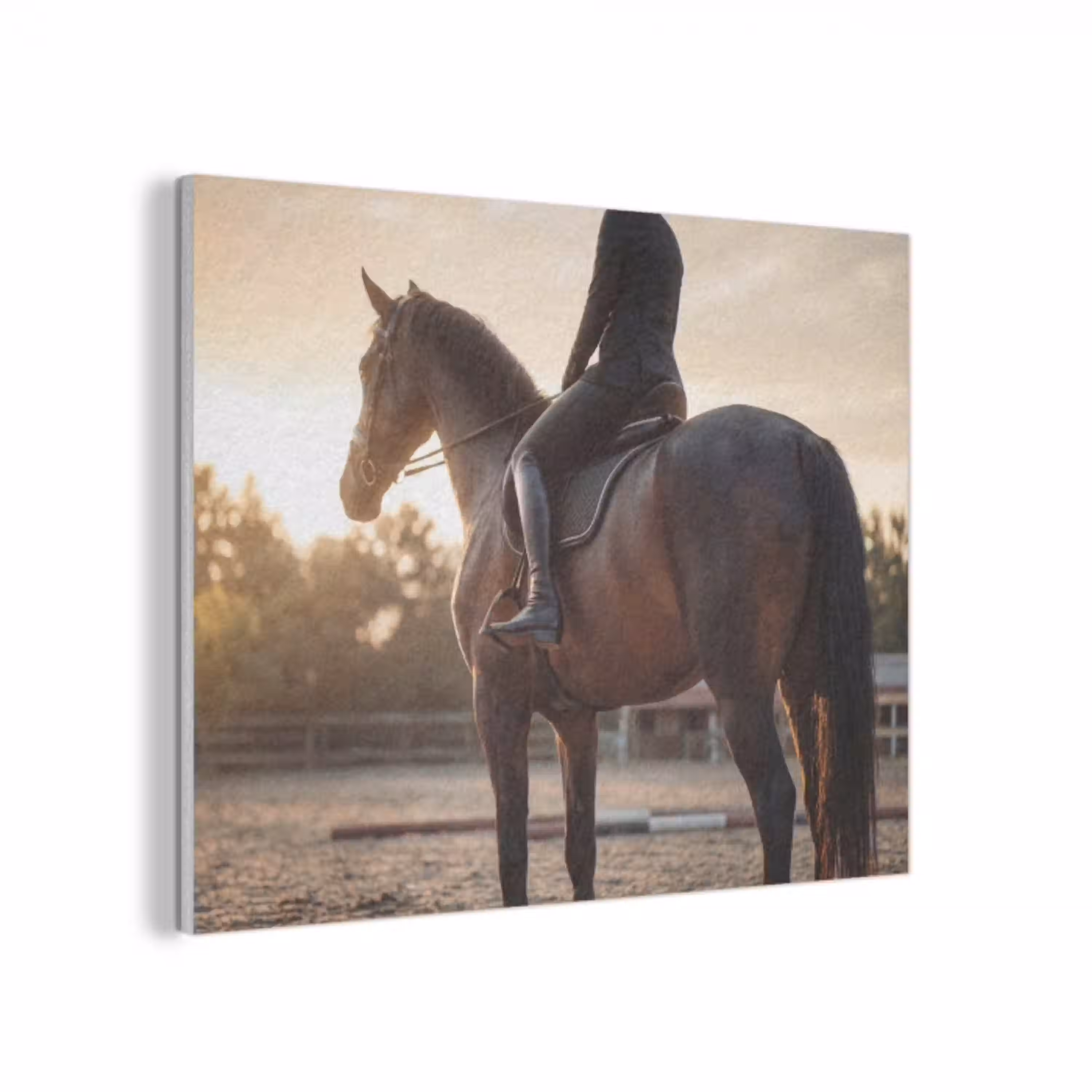 Harmonie - Ruiter - Zon PET vilt klein -3d