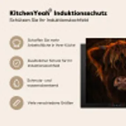 Vurige Manen Inductie beschermer vinyl 3mm middel -tsfeer2_DE