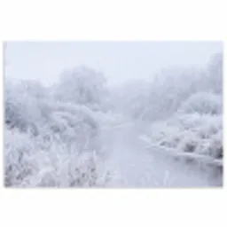 Rivier - Sneeuw - Bos - Winter - Schilderachtig poster papier klein -3d