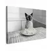 Kat - Siamees - Zwart Wit - Schattig - Dieren Tuinposter op houten frame 2 cm dik klein -3d