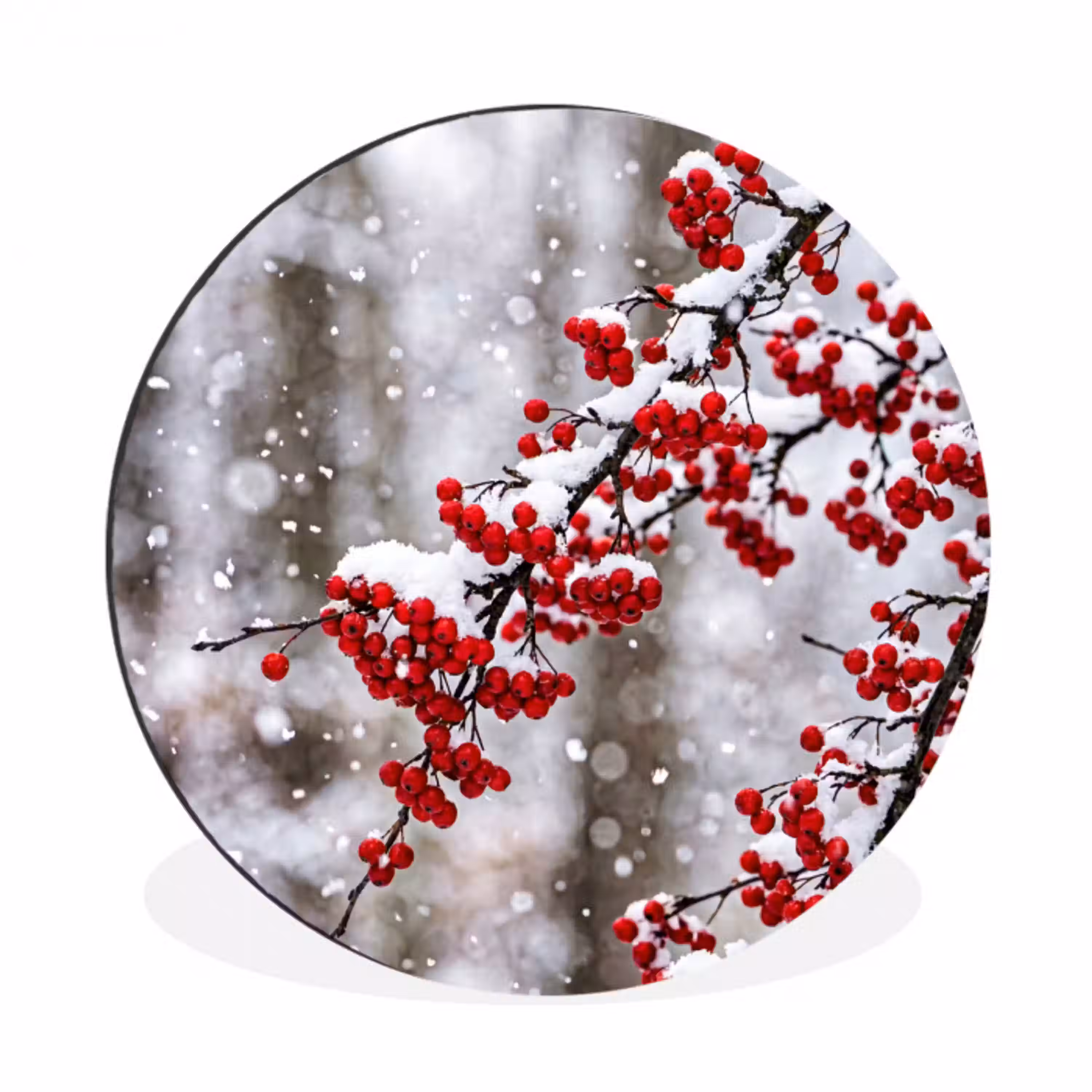 Bessen - Takken - Sneeuw - Winter - Kleurrijk Wandcirkel aluminium klein -3d
