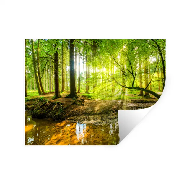 Wall Sticker - Forest - Landscape - Water - Trees - Sun - Green - Nature