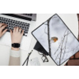 Roodborstje - Tak - Sneeuw - Winter - Levendig laptophoes neopreen klein -bureau